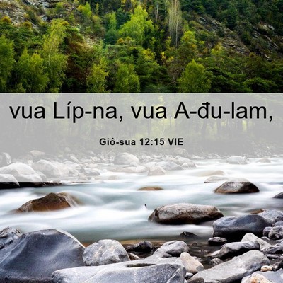 Picture 06 - Giô-sua 12:15 VIE - vua Líp-na, vua - Bible Verse Picture