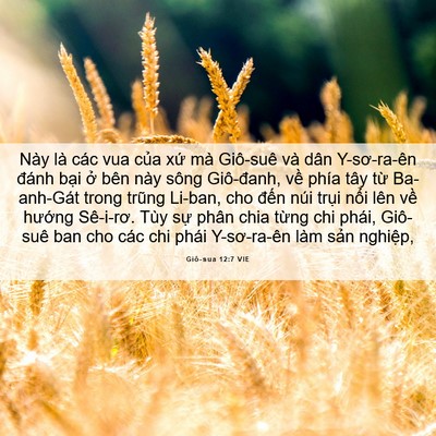 Picture 06 - Giô-sua 12:7 VIE - Này là các vua của xứ mà Giô-suê và - Bible Verse Picture