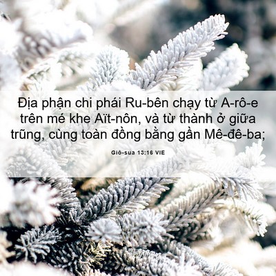 Picture 06 - Giô-sua 13:16 VIE - Địa phận chi phái Ru-bên chạy từ - Bible Verse Picture