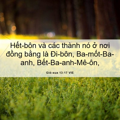 Picture 06 - Giô-sua 13:17 VIE - Hết-bôn và các thành nó ở nơi đồng - Bible Verse Picture