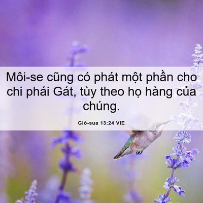 Picture 06 - Giô-sua 13:24 VIE - Môi-se cũng có phát một phần cho chi - Bible Verse Picture