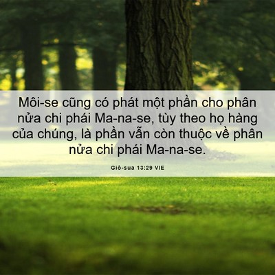 Picture 06 - Giô-sua 13:29 VIE - Môi-se cũng có phát một phần cho phân - Bible Verse Picture