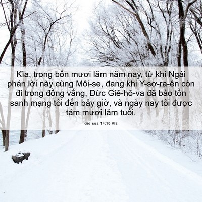 Picture 06 - Giô-sua 14:10 VIE - Kìa, trong bốn mươi lăm năm nay, từ khi - Bible Verse Picture