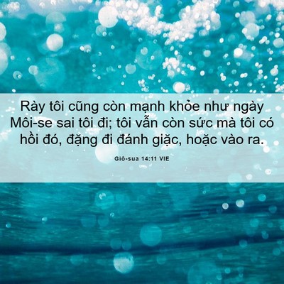Picture 06 - Giô-sua 14:11 VIE - Rày tôi cũng còn mạnh khỏe như ngày - Bible Verse Picture