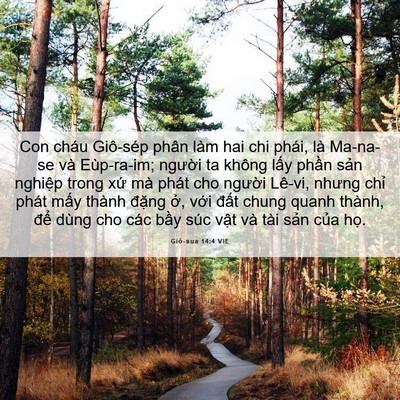 Picture 06 - Giô-sua 14:4 VIE - Con cháu Giô-sép phân làm hai chi phái, là - Bible Verse Picture