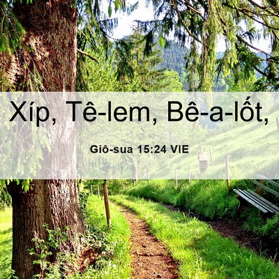 Picture 06 - Giô-sua 15:24 VIE - Xíp, Tê-lem, - Bible Verse Picture