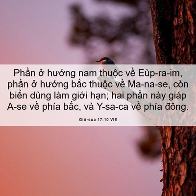 Picture 06 - Giô-sua 17:10 VIE - Phần ở hướng nam thuộc về Eùp-ra-im, - Bible Verse Picture
