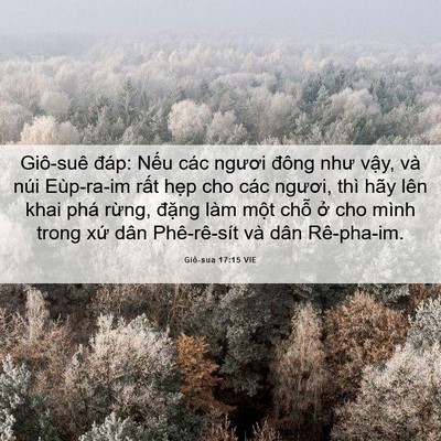 Picture 06 - Giô-sua 17:15 VIE - Giô-suê đáp: Nếu các ngươi đông như - Bible Verse Picture