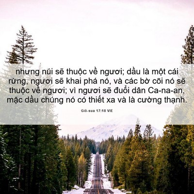 Picture 06 - Giô-sua 17:18 VIE - nhưng núi sẽ thuộc về ngươi; dầu là - Bible Verse Picture