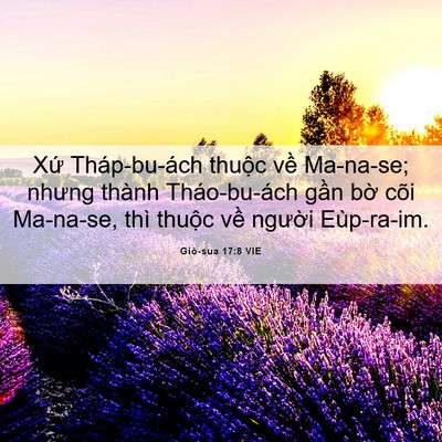 Picture 06 - Giô-sua 17:8 VIE - Xứ Tháp-bu-ách thuộc về Ma-na-se; nhưng - Bible Verse Picture