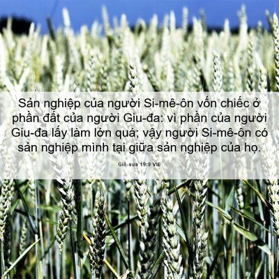 Picture 06 - Giô-sua 19:9 VIE - Sản nghiệp của người Si-mê-ôn vốn - Bible Verse Picture