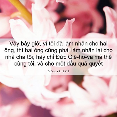 Picture 06 - Giô-sua 2:12 VIE - Vậy bây giờ, vì tôi đã làm nhân cho - Bible Verse Picture