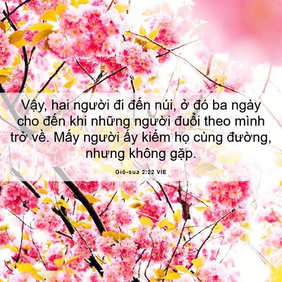 Picture 06 - Giô-sua 2:22 VIE - Vậy, hai người đi đến núi, ở đó ba - Bible Verse Picture