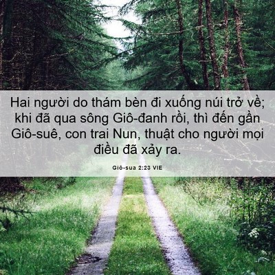 Picture 06 - Giô-sua 2:23 VIE - Hai người do thám bèn đi xuống núi trở - Bible Verse Picture