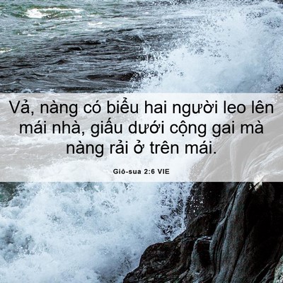 Picture 06 - Giô-sua 2:6 VIE - Vả, nàng có biểu hai người leo lên mái - Bible Verse Picture