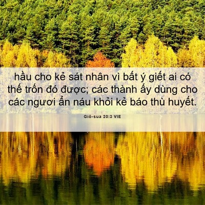 Picture 06 - Giô-sua 20:3 VIE - hầu cho kẻ sát nhân vì bất ý giết ai - Bible Verse Picture