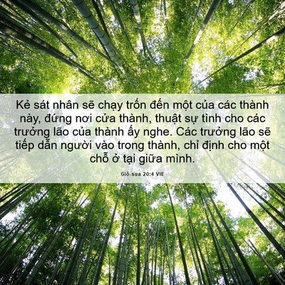 Picture 06 - Giô-sua 20:4 VIE - Kẻ sát nhân sẽ chạy trốn đến một - Bible Verse Picture