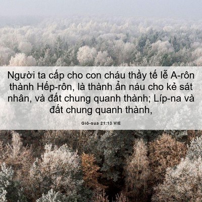 Picture 06 - Giô-sua 21:13 VIE - Người ta cấp cho con cháu thầy tế lễ - Bible Verse Picture