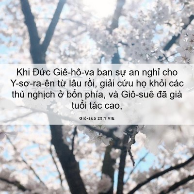Picture 06 - Giô-sua 23:1 VIE - Khi Đức Giê-hô-va ban sự an nghỉ cho - Bible Verse Picture
