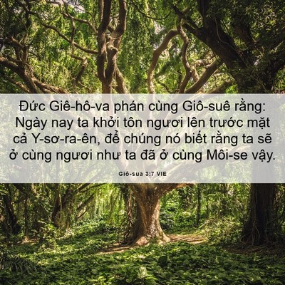 Picture 06 - Giô-sua 3:7 VIE - Đức Giê-hô-va phán cùng Giô-suê rằng: - Bible Verse Picture