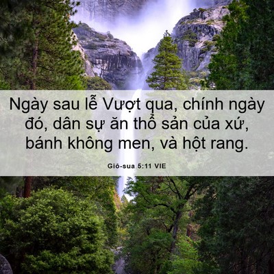 Picture 06 - Giô-sua 5:11 VIE - Ngày sau lễ Vượt qua, chính ngày đó, - Bible Verse Picture