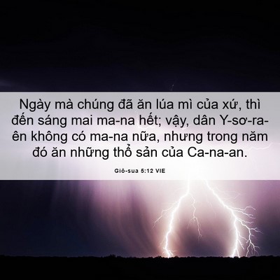 Picture 06 - Giô-sua 5:12 VIE - Ngày mà chúng đã ăn lúa mì của xứ, - Bible Verse Picture