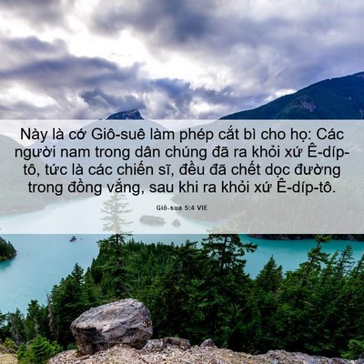 Picture 06 - Giô-sua 5:4 VIE - Này là cớ Giô-suê làm phép cắt bì cho - Bible Verse Picture