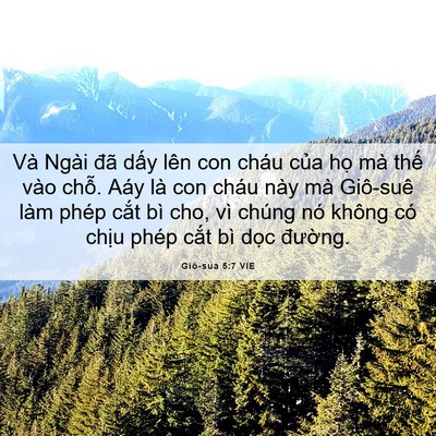 Picture 06 - Giô-sua 5:7 VIE - Và Ngài đã dấy lên con cháu của họ - Bible Verse Picture