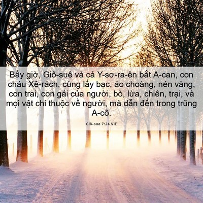 Picture 06 - Giô-sua 7:24 VIE - Bấy giờ, Giô-suê và cả Y-sơ-ra-ên - Bible Verse Picture