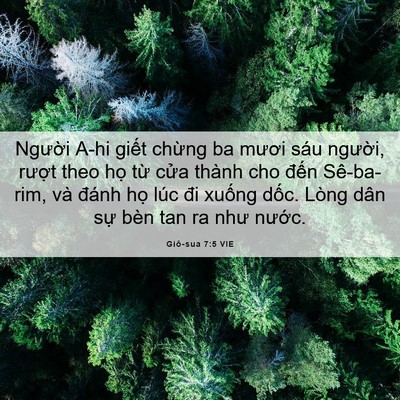 Picture 06 - Giô-sua 7:5 VIE - Người A-hi giết chừng ba mươi sáu - Bible Verse Picture