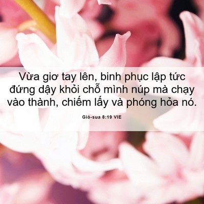 Picture 06 - Giô-sua 8:19 VIE - Vừa giơ tay lên, binh phục lập tức - Bible Verse Picture