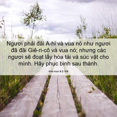 Picture 06 - Giô-sua 8:2 VIE - Ngươi phải đãi A-hi và vua nó như - Bible Verse Picture