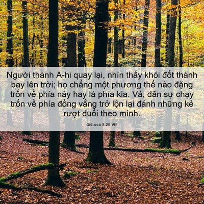 Picture 06 - Giô-sua 8:20 VIE - Người thành A-hi quay lại, nhìn thấy - Bible Verse Picture