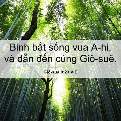 Picture 06 - Giô-sua 8:23 VIE - Binh bắt sống vua A-hi, và dẫn đến - Bible Verse Picture