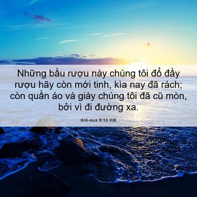 Picture 06 - Giô-sua 9:13 VIE - Những bầu rượu này chúng tôi đổ - Bible Verse Picture