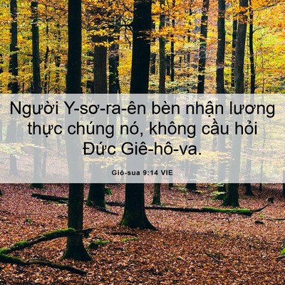 Picture 06 - Giô-sua 9:14 VIE - Người Y-sơ-ra-ên bèn nhận lương thực - Bible Verse Picture