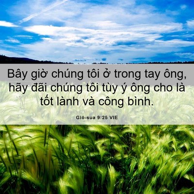 Picture 06 - Giô-sua 9:25 VIE - Bây giờ chúng tôi ở trong tay ông, hãy - Bible Verse Picture