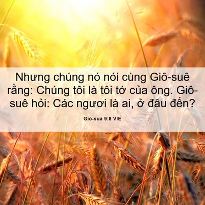 Picture 06 - Giô-sua 9:8 VIE - Nhưng chúng nó nói cùng Giô-suê rằng: - Bible Verse Picture