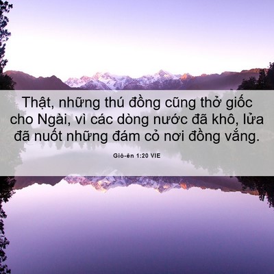 Picture 06 - Giô-ên 1:20 VIE - Thật, những thú đồng cũng thở giốc - Bible Verse Picture