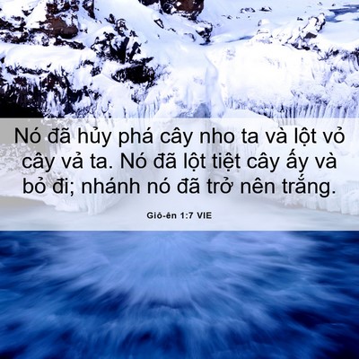 Picture 06 - Giô-ên 1:7 VIE - Nó đã hủy phá cây nho ta và lột vỏ - Bible Verse Picture