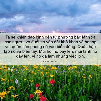 Picture 06 - Giô-ên 2:20 VIE - Ta sẽ khiến đạo binh đến từ phương - Bible Verse Picture