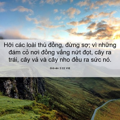 Picture 06 - Giô-ên 2:22 VIE - Hỡi các loài thú đồng, đừng sợ; vì - Bible Verse Picture