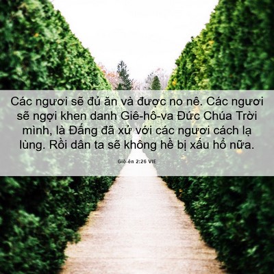 Picture 06 - Giô-ên 2:26 VIE - Các ngươi sẽ đủ ăn và được no nê. - Bible Verse Picture
