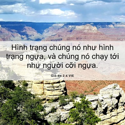 Picture 06 - Giô-ên 2:4 VIE - Hình trạng chúng nó như hình trạng - Bible Verse Picture