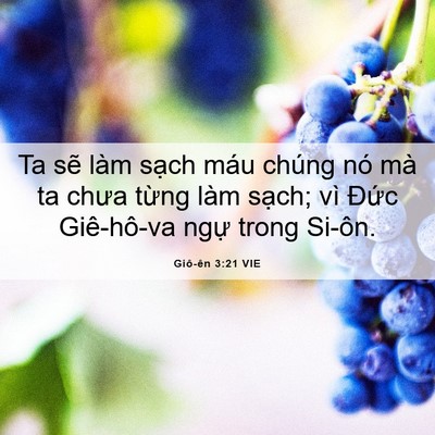 Picture 06 - Giô-ên 3:21 VIE - Ta sẽ làm sạch máu chúng nó mà ta chưa - Bible Verse Picture