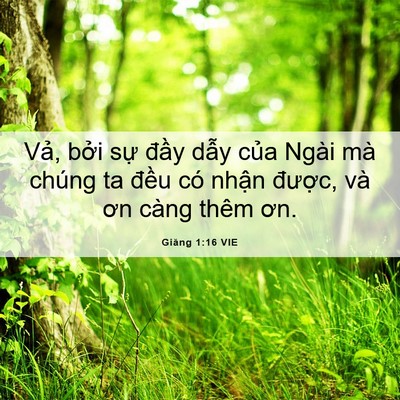 Picture 06 - Giăng 1:16 VIE - Vả, bởi sự đầy dẫy của Ngài mà - Bible Verse Picture