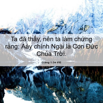Picture 06 - Giăng 1:34 VIE - Ta đã thấy, nên ta làm chứng rằng: Aáy - Bible Verse Picture