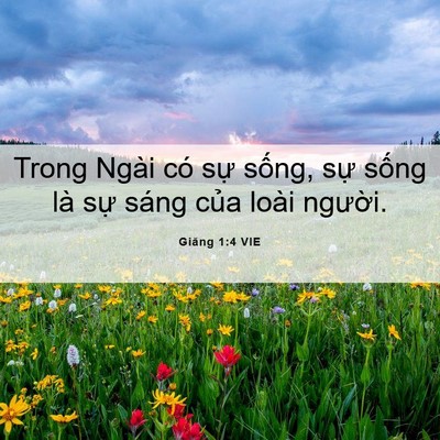 Picture 06 - Giăng 1:4 VIE - Trong Ngài có sự sống, sự sống là sự - Bible Verse Picture