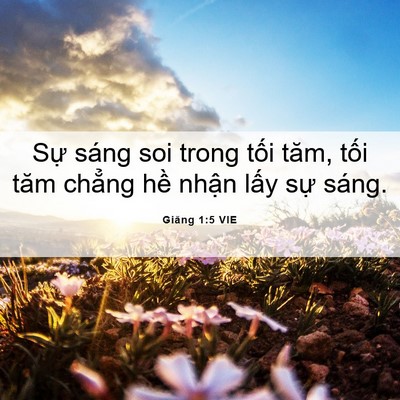 Picture 06 - Giăng 1:5 VIE - Sự sáng soi trong tối tăm, tối tăm - Bible Verse Picture