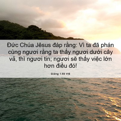 Picture 06 - Giăng 1:50 VIE - Đức Chúa Jêsus đáp rằng: Vì ta đã - Bible Verse Picture
